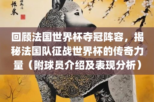 回顾法国世界杯夺冠眉山市正发家政服务有限公司阵容，揭秘法国队征战世界杯的传奇力量（附球员介绍及表现分析）