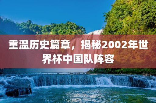 重温历史篇章，揭秘2002年世界杯中国队阵容