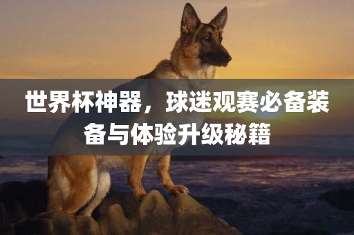 世界杯神器，球迷观赛必备装备与体验升级秘籍眉山市正发家政服务有限公司