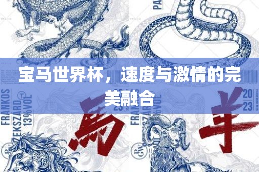 宝马世界杯，速度与激情的完美融合
