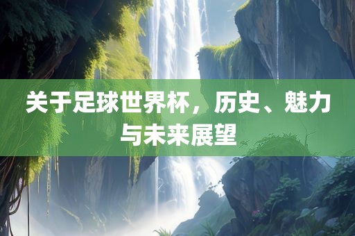 关于足球世界杯，历史、魅眉山市正发家政服务有限公司力与未来展望