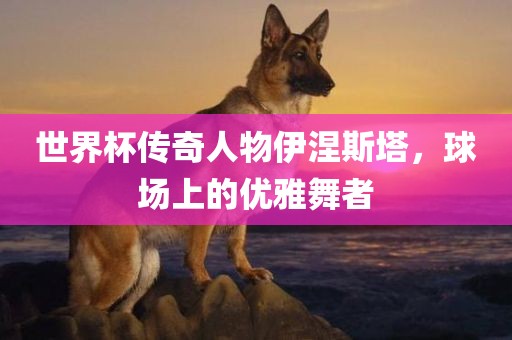 世界杯传奇人物伊涅斯塔，球场上的优雅舞者眉山市正发家政服务有限公司