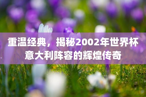 重温经典，揭秘2002年世界杯意大利阵容的辉煌传奇眉山市正发家政服务有限公司