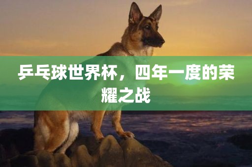 乒乓球世界杯，四年一度的荣耀之战