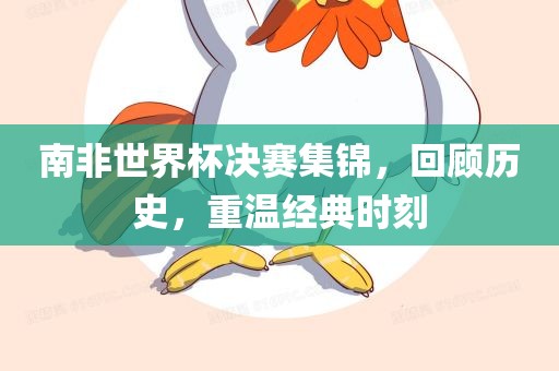 南非世界杯决赛集锦，回顾历史，重温经典时刻