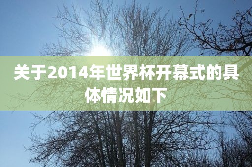 关于2014年世界杯开幕式的具体情况如下