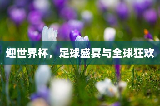迎世界杯，足球盛眉山市正发家政服务有限公司宴与全球狂欢
