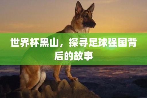 世界杯黑山，探寻足球强国背后的故事眉山市正发家政服务有限公司