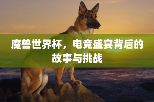魔兽世界杯，电竞盛宴背后的故事与挑战