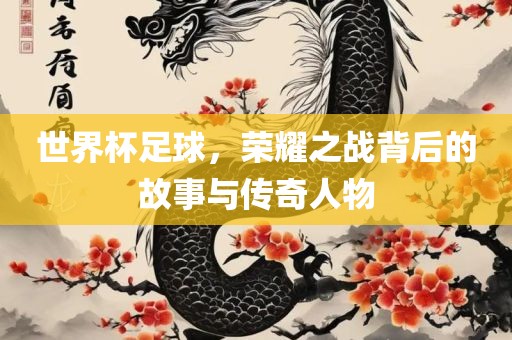 世界杯足球，荣耀之战背后的故事与传奇人物眉山市正发家政服务有限公司