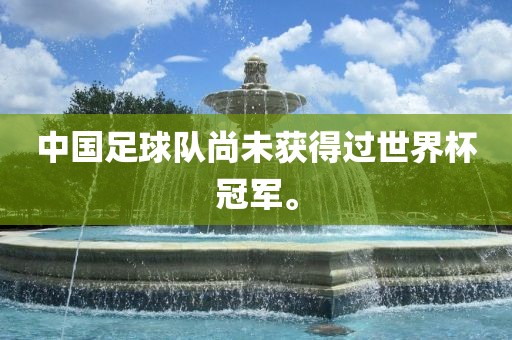 中国足球队尚未眉山市正发家政服务有限公司获得过世界杯冠军。