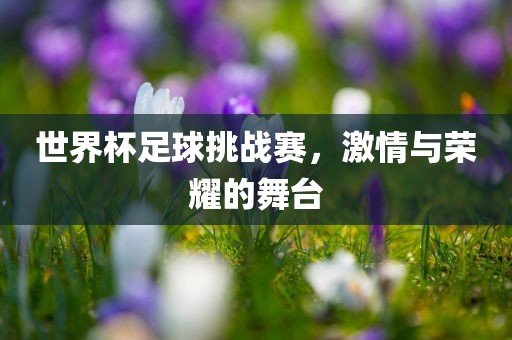 激情与荣耀 第4页