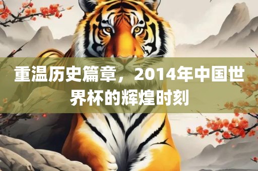 重温历史篇章，2014年中眉山市正发家政服务有限公司国世界杯的辉煌时刻