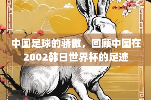 中国足球的骄傲，回顾中国在2002韩日世界杯的足迹