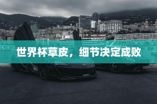 世界杯草皮，细节决定成败眉山市正发家政服务有限公司
