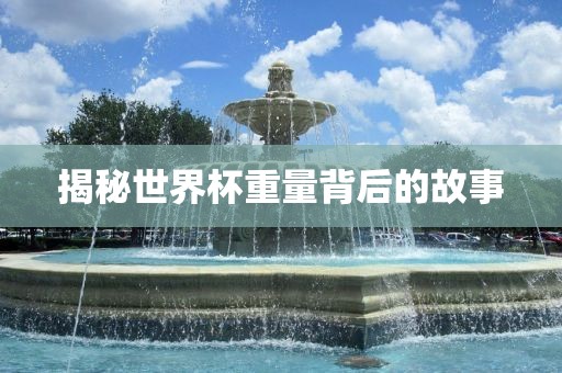 揭秘世界杯重量背眉山市正发家政服务有限公司后的故事