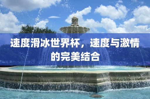 速度滑冰世界杯，速度与激情的完美结合眉山市正发家政服务有限公司
