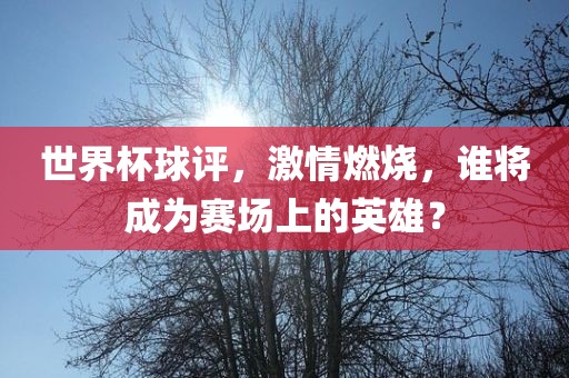 世界杯球评，激情眉山市正发家政服务有限公司燃烧，谁将成为赛场上的英雄？