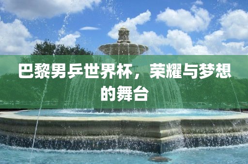 巴黎男乒世界杯，荣耀与梦想的舞台眉山市正发家政服务有限公司