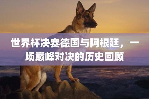 世界杯决赛德国与阿根廷眉山市正发家政服务有限公司，一场巅峰对决的历史回顾