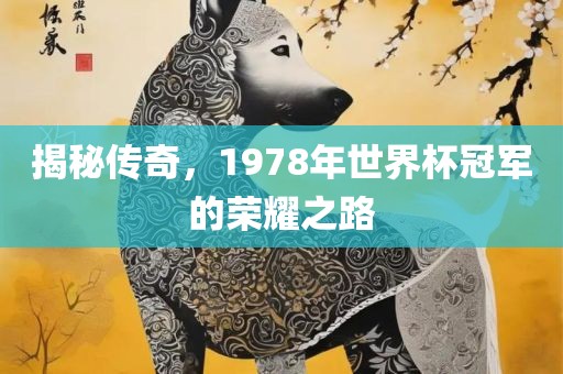 揭秘传奇，1978年世界杯冠军的荣耀之路眉山市正发家政服务有限公司