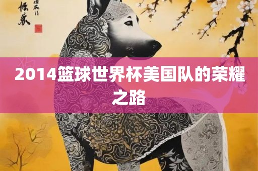 2014篮球世界杯美国队的荣耀之路