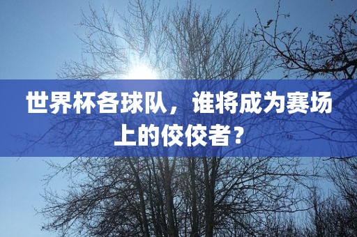 世界杯各球队，谁将成为赛场上的佼佼者？