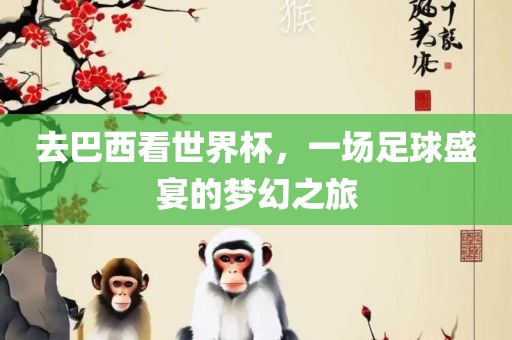 去巴西看世界杯，一场足球盛宴的梦幻之旅眉山市正发家政服务有限公司