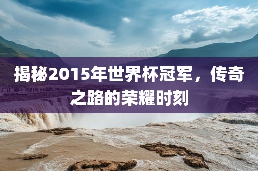 揭秘2015年世界杯冠军，传奇之路的荣耀时刻眉山市正发家政服务有限公司