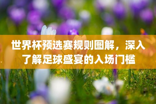 世界杯预选赛规则图解，深入了解足球盛宴的入场门槛眉山市正发家政服务有限公司