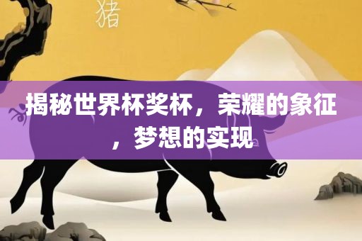 揭秘世界杯奖杯，荣耀的象征，梦想的实现