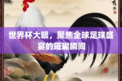 世界杯大眼，聚焦全球足球盛宴的璀璨瞬间眉山市正发家政服务有限公司