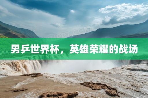 男乒世界杯，英雄眉山市正发家政服务有限公司荣耀的战场