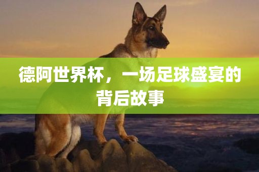 德阿世界杯，一场足球眉山市正发家政服务有限公司盛宴的背后故事