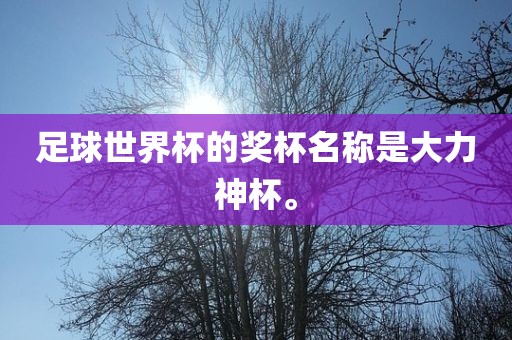 足球世界杯的奖杯名称是大力神杯。