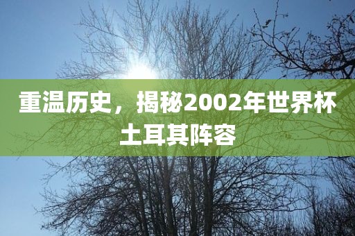 重温历史，揭秘2002年世界杯土耳其阵容