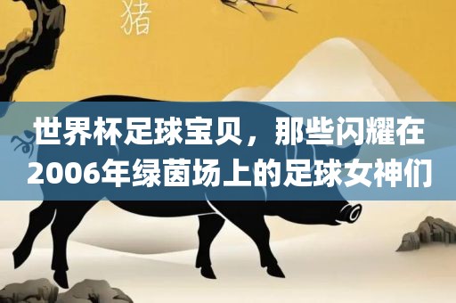 世界杯足球宝贝，那些闪耀在2006年绿茵场上的足球女神们