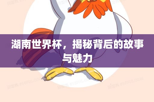 湖南世界杯，揭秘背后的故事与魅力