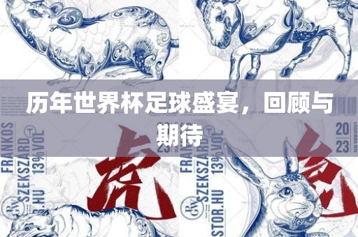 历年世界杯足球盛宴，回顾与期待