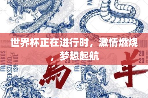 世界杯正在进行时，激情燃烧，梦想起航眉山市正发家政服务有限公司