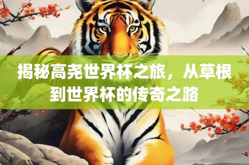 揭秘高尧世界杯之旅，从草根到世界杯的传奇之路