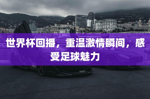 世界杯回播，重温激情瞬间，感受足球魅力眉山市正发家政服务有限公司