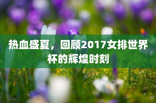 热血盛夏，回顾2017女排世界杯的辉煌时刻