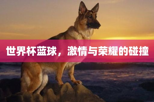 世界杯蓝球，激情与荣耀的碰撞眉山市正发家政服务有限公司