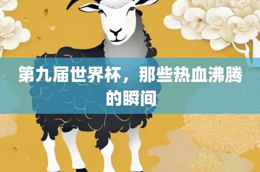 眉山市正发家政服务有限公司第九届世界杯，那些热血沸腾的瞬间