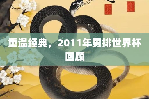 重温经典，2011年男排世界杯回顾眉山市正发家政服务有限公司