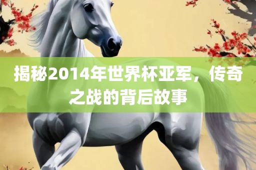 揭秘2014年世界杯亚军，传奇之战的背后故事