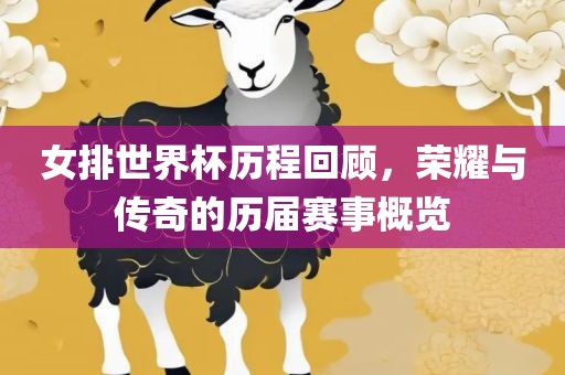 女排世界杯历程回顾，荣耀与传奇的历届赛事概览眉山市正发家政服务有限公司
