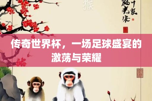 足球盛宴 第7页