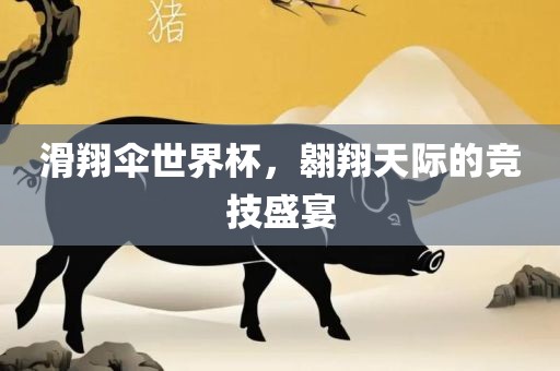 滑翔伞世界杯，翱翔天际的竞技盛宴眉山市正发家政服务有限公司